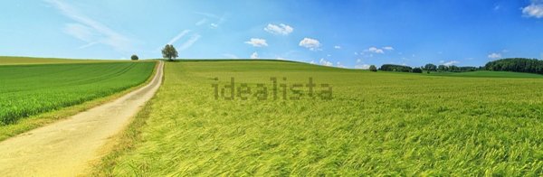 casa indipendente in vendita a Vicenza in zona Cattane