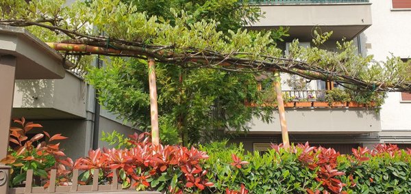 appartamento in vendita a Vicenza in zona Pio X