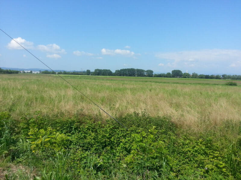 casa indipendente in vendita a Vicenza in zona Centro Storico