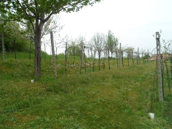 casa indipendente in vendita a Vicenza in zona Debba