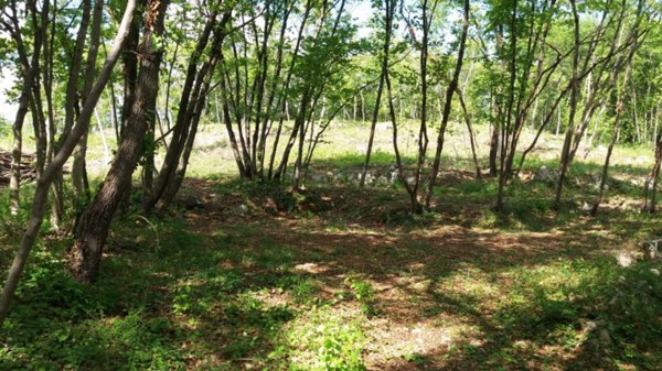 mansarda in vendita a Villaga in zona Pozzolo