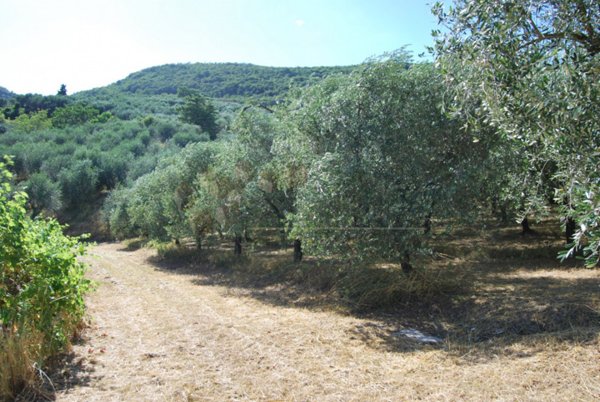 terreno agricolo in vendita a Villaga in zona Pozzolo