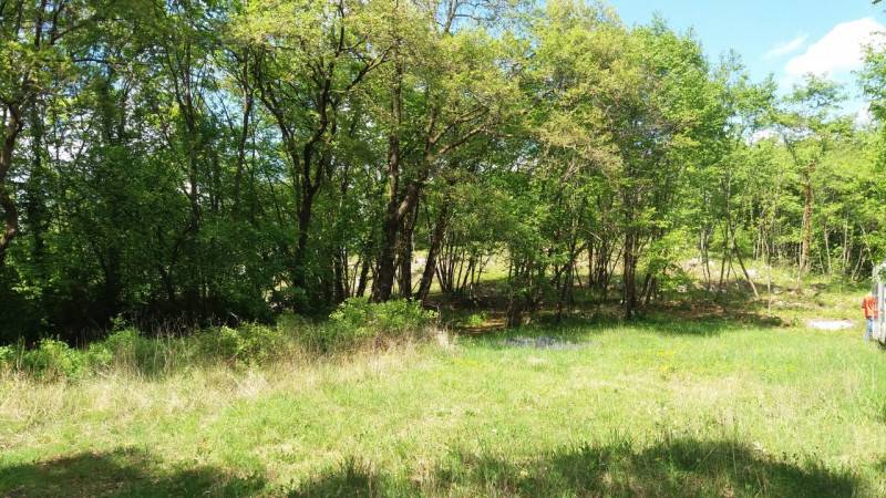 terreno agricolo in vendita a Villaga in zona Pozzolo