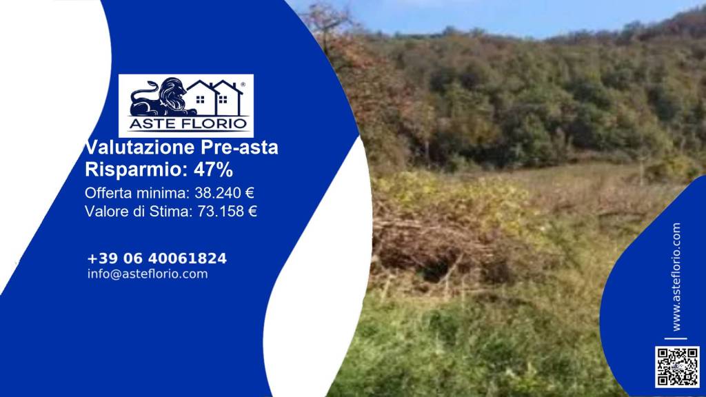terreno agricolo in vendita a Villaga in zona Pozzolo