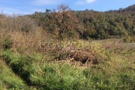 ufficio in vendita a Villaga in zona Pozzolo