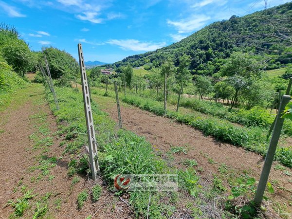 casa indipendente in vendita a Villaga