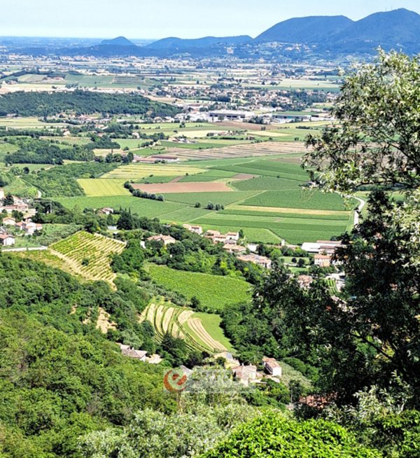 rudere in vendita a Villaga