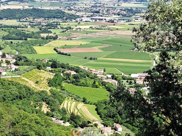 terreno agricolo in vendita a Villaga
