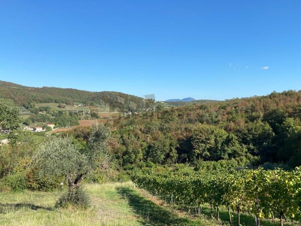 terreno agricolo in vendita a Villaga