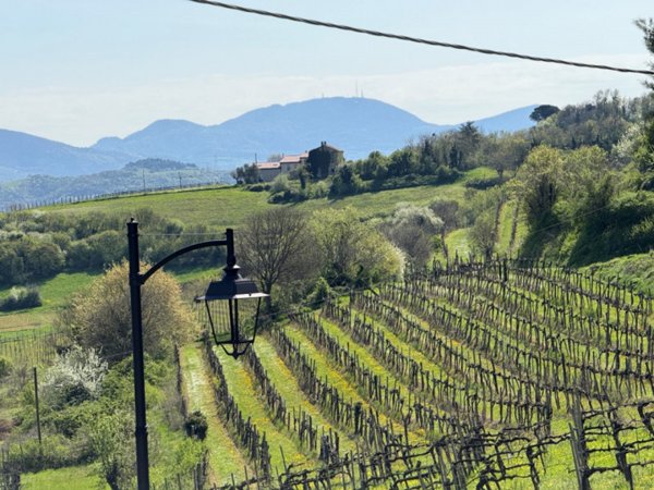 casa indipendente in vendita a Villaga