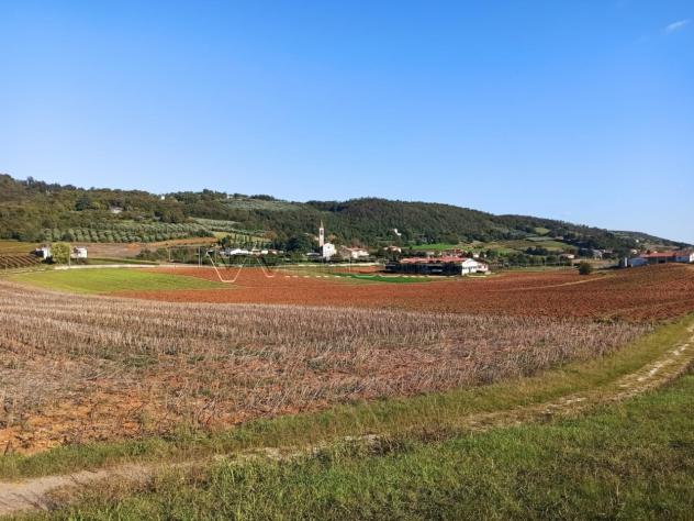 terreno agricolo in vendita a Villaga
