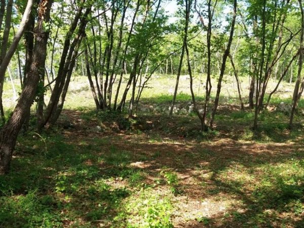terreno agricolo in vendita a Villaga in zona Pozzolo