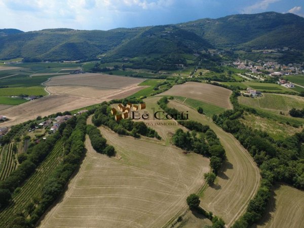 terreno agricolo in vendita a Villaga