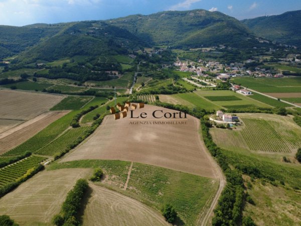 terreno agricolo in vendita a Villaga