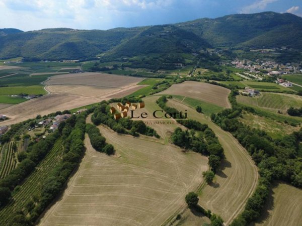 terreno agricolo in vendita a Villaga