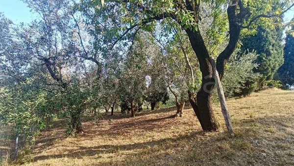 casa indipendente in vendita a Villaga in zona Pozzolo