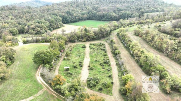 terreno in vendita a Villaga in zona Pozzolo