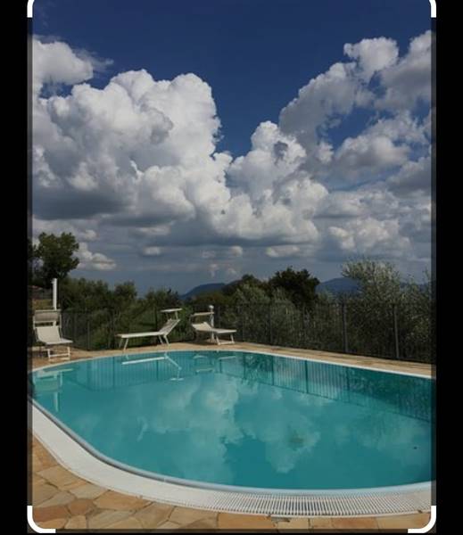 azienda agricola in vendita a Villaga