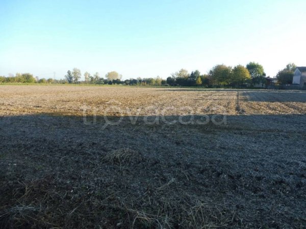 terreno agricolo in vendita a Villaverla in zona Novoledo