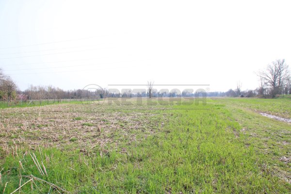 terreno agricolo in vendita a Villaverla