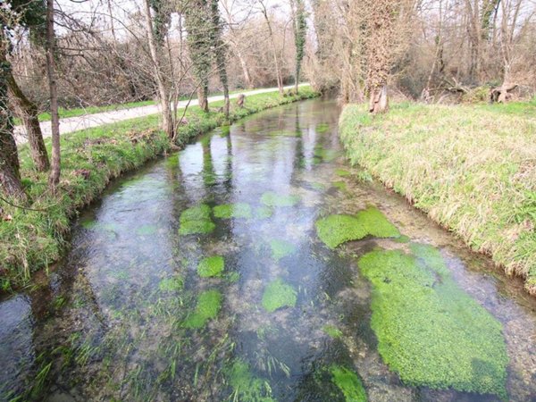 terreno agricolo in vendita a Villaverla