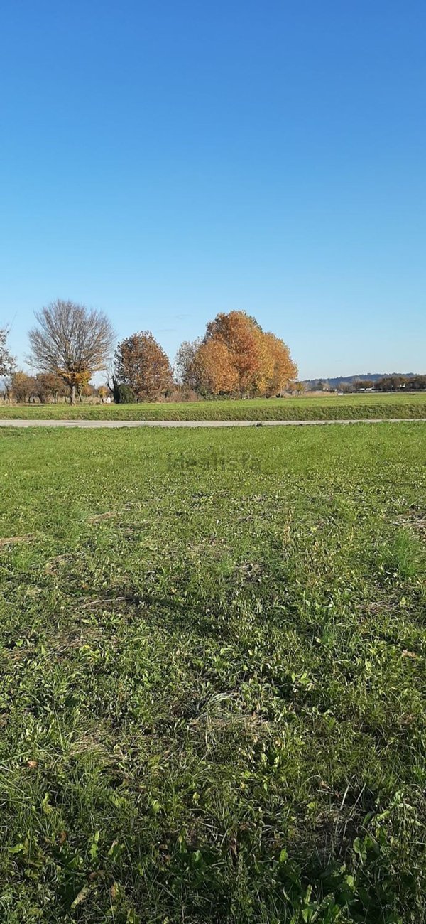 casa indipendente in vendita a Villaverla