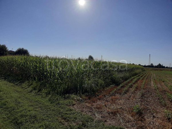 terreno agricolo in vendita a Villaverla