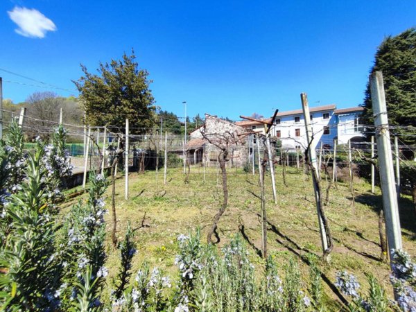 appartamento in vendita a Zermeghedo