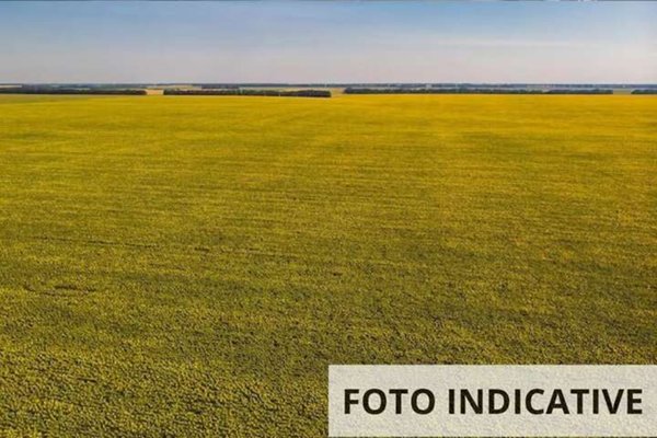 terreno agricolo in vendita a Zugliano