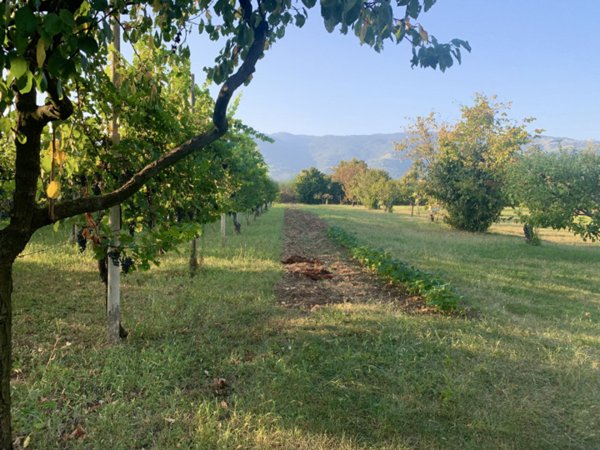 casa indipendente in vendita a Zugliano