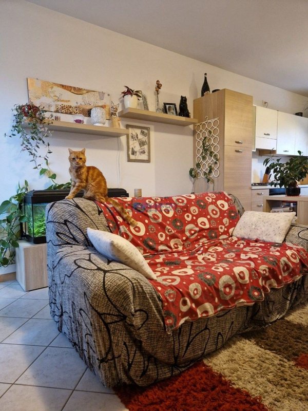 immagine annuncio 0 di 1