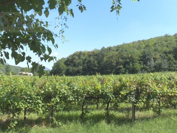 terreno agricolo in vendita a Val Liona in zona Grancona