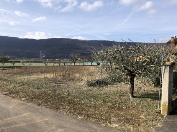 terreno edificabile in vendita a Val Liona in zona San Germano dei Berici
