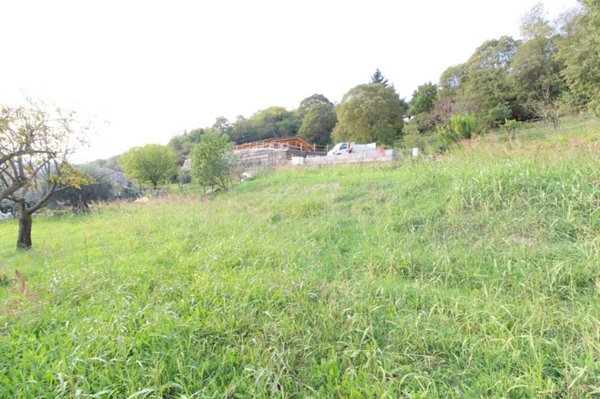 terreno agricolo in vendita a Val Liona in zona San Germano dei Berici