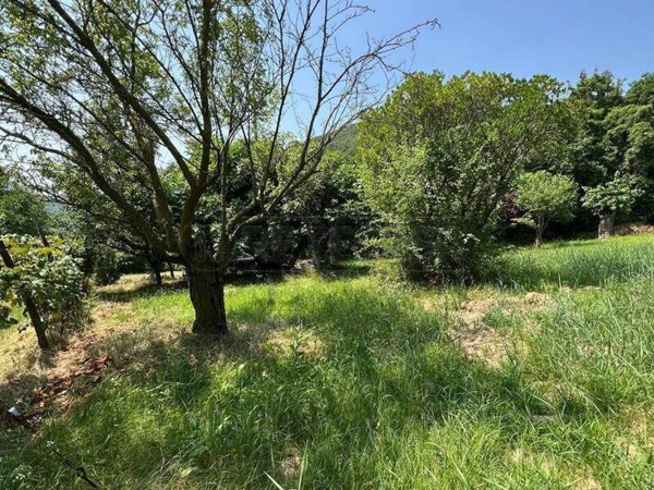 terreno agricolo in vendita a Val Liona