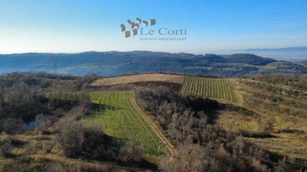 terreno agricolo in vendita a Val Liona in zona San Germano dei Berici