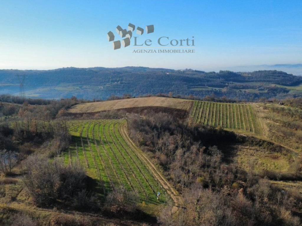 terreno agricolo in vendita a Val Liona in zona San Germano dei Berici