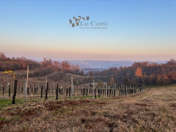 terreno agricolo in vendita a Val Liona in zona San Germano dei Berici