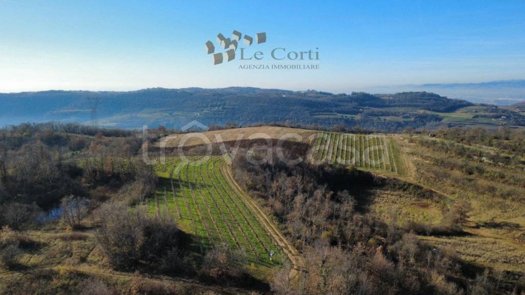 terreno agricolo in vendita a Val Liona in zona San Germano dei Berici