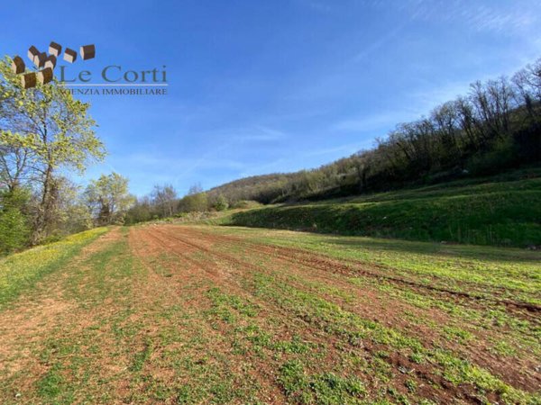 terreno agricolo in vendita a Val Liona
