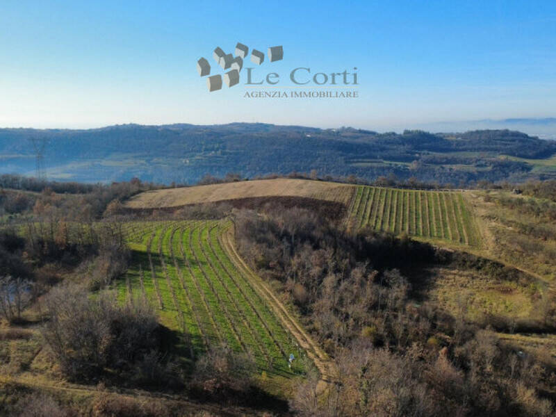 terreno agricolo in vendita a Val Liona in zona San Germano dei Berici