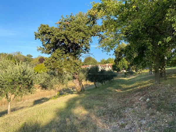 terreno in vendita a Val Liona in zona San Germano dei Berici