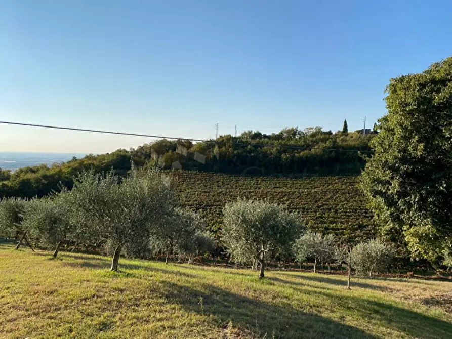terreno in vendita a Val Liona in zona San Germano dei Berici