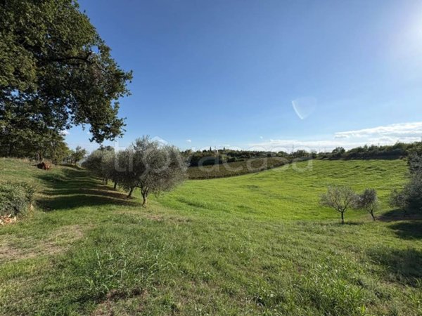 terreno in vendita a Val Liona in zona Villa del Ferro