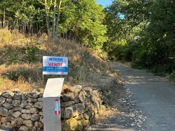 terreno agricolo in vendita a Barbarano Mossano in zona Mossano