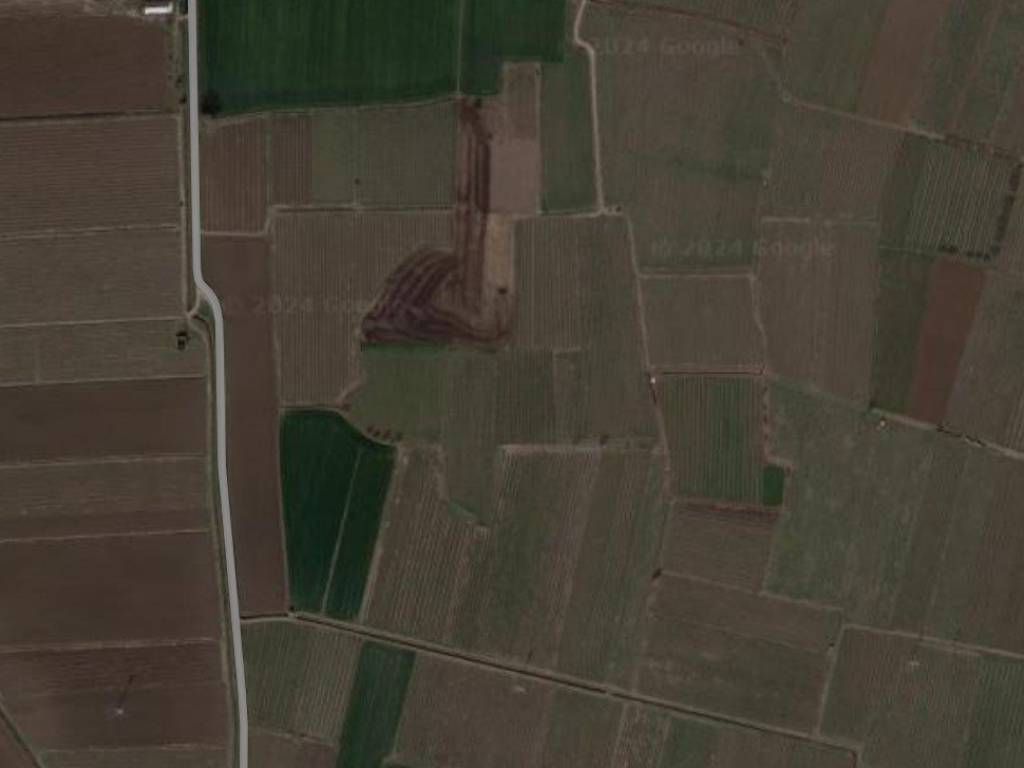 terreno agricolo in vendita a Barbarano Mossano