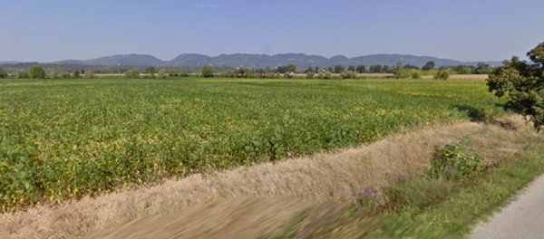 terreno agricolo in vendita a Barbarano Mossano in zona Mossano
