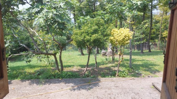 casa indipendente in vendita a Barbarano Mossano