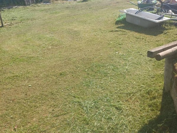 casa indipendente in vendita a Barbarano Mossano