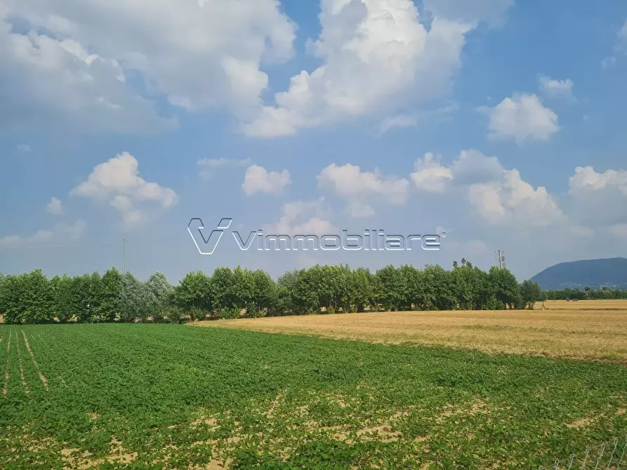 terreno agricolo in vendita a Barbarano Mossano in zona Mossano